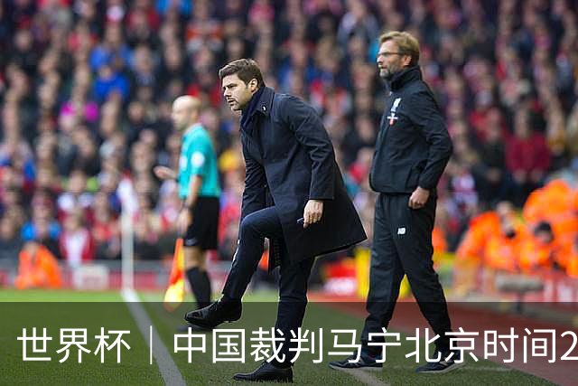 世界杯｜中国裁判马宁北京时间21日登场任主裁